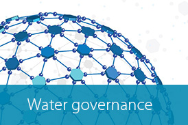 Water satellite site Button water governance